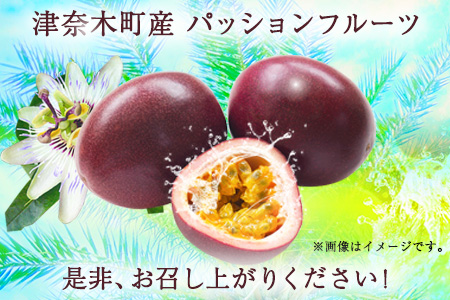 先行予約 パッションフルーツ 約1kg(12～16個) つなぎ南興FARM《7月上旬-7月中旬頃出荷》