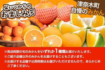 ご家庭用 旬のみかん 約5kg 品種おまかせ つなぎ百貨堂 《10月上旬