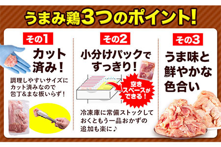 【3ヶ月定期便】鶏肉 うまみ鶏 もも+むねハーフセット(計2種類) 計3.41kg 若鶏 冷凍 小分け《お申込み月の翌月より出荷開始》 肉 小分け 筋トレ ヘルシー ダイエット タンパク質 たっぷり大満足！