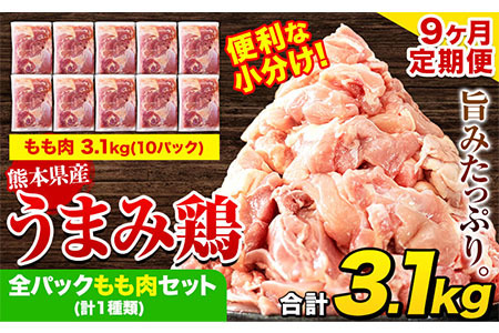 【9ヶ月定期便】うまみ鶏 全パックもも肉セット 1回のお届け 合計3.1kg 合計 約27.9kgお届け 《お申込み月の翌月より出荷開始》  国産鶏肉