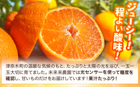 訳あり 不知火 熊本のブランド果実 不知火 約10kg 40玉前後 デコポン と同品種 でこぽん フルーツ 柑橘 しらぬい未来来農園 《4月上旬-4月下旬頃出荷》フルーツ 果物 蜜柑 柑橘 完熟 デザート 産地直送