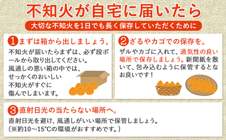 訳あり 不知火 熊本のブランド果実 不知火 約10kg 40玉前後 デコポン と同品種 でこぽん フルーツ 柑橘 しらぬい未来来農園 《4月上旬-4月下旬頃出荷》フルーツ 果物 蜜柑 柑橘 完熟 デザート 産地直送