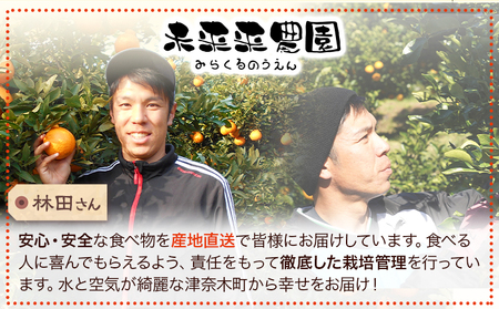 不知火 先行予約 贈答用 約5kg 未来来農園