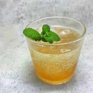 生姜 シロップ 250g ヤングジンジャーシロップ 加工品 甘味料 