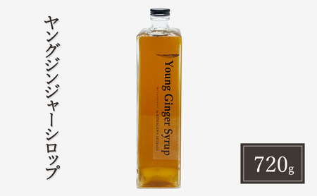 生姜 シロップ 720g ヤングジンジャーシロップ 加工品 甘味料 