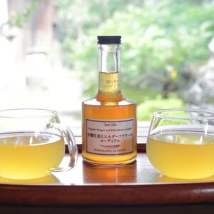 生姜 シロップ 210g 有機生姜とエルダーフラワーのコーディアル 加工品 甘味料 