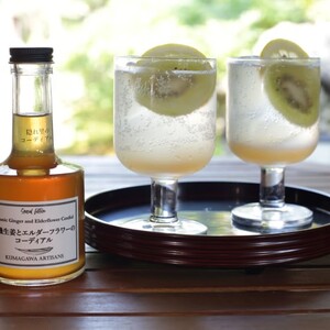 生姜 シロップ 210g 有機生姜とエルダーフラワーのコーディアル 加工品 甘味料 