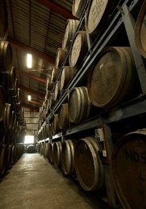 焼酎・リキュールセット お酒 酒 