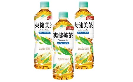 爽健美茶 600ml 2ケース