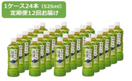 【12回定期】綾鷹 525ml×1ケース