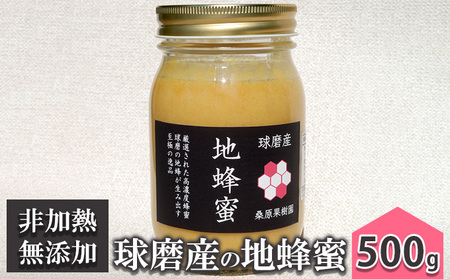 はちみつ 無添加 非加熱 希少 球磨産  地蜂蜜 500g×1本 加工食品 