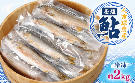 人吉球磨産養殖鮎(冷凍) 約2kg
