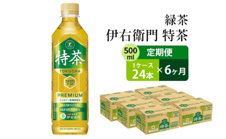 定期便 お茶 6回 サントリー 緑茶 伊右衛門 特茶 特定保健用食品 500ml×24本