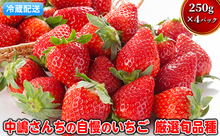 いちご 先行予約 中嶋さんちの自慢のいちご 約300g×4パック 配送不可