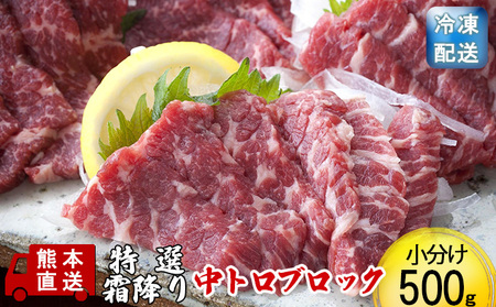 馬刺し 特選 霜降り 中トロ 500g ブロック 熊本直送 国内肥育 馬刺 馬肉 肉 お肉 冷凍 国産 又は カナダ産 配送不可：離島 11,700円