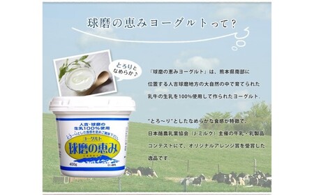 特濃ヨーグルトとろ〜りくまモン 500ml 箱入 | 球磨焼酎専門店