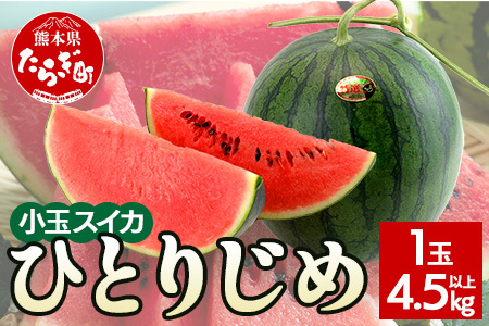 【2026年5月上旬～発送】熊本県産 小玉スイカ ひとりじめ 1玉 (4.5kg以上)【 2026年 夏 スイカ 西瓜 フルーツ 果物 旬の味覚 すいか 甘い 産地直送 】008-0677 6,300円