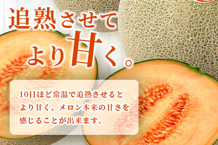 【2026年分 予約】 オレンジの果肉メロン「レノンハート」2玉 (合計約2.8kg以上) 2026年4月下旬～発送 令和8年 予約 フルーツ 果物 高糖度 めろん なめらかな果肉 果物 贈り物 赤肉 メロン 013-0559