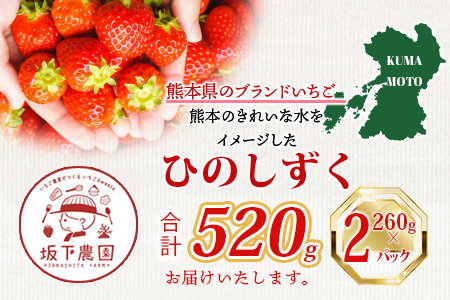 【先行予約】熊本県産 いちご【ひのしずく】約520g(260g×2パック) 坂下農園 産地直送 国産 新鮮 フレッシュ 果物 苺 イチゴ フルーツ 103-0005