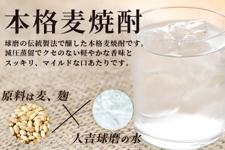 メガボトル！ 純 麦焼酎【麦一石】4L エコペット 25度 焼酎 蔵元直送 4リットル パーティサイズ 麦 酒 麦麹 焼酎 大容量 熊本 球磨 焼酎 多良木町 040-0586