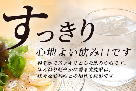 メガボトル！ 純 麦焼酎【麦一石】4L エコペット 25度 焼酎 蔵元直送 4リットル パーティサイズ 麦 酒 麦麹 焼酎 大容量 熊本 球磨 焼酎 多良木町 040-0586