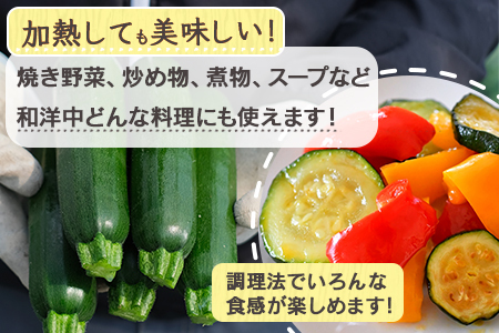 【11月上旬～5月下旬発送】中神農園の ズッキーニ 約2kg (10～12本) 野菜 夏 やさい 煮る 炒める 生食 ミネラル ビタミンC ずっきーに 新鮮 国産 九州 熊本県 多良木町 071-0506