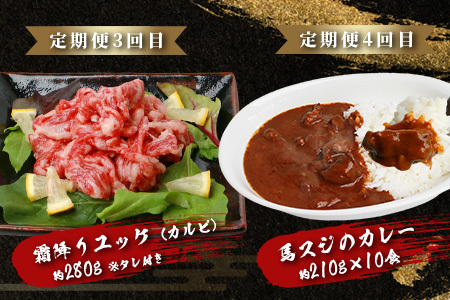 【定期便6回】馬肉づくし 「 馬刺し・お惣菜 定期便 」6回配送 本場 熊本県 馬さし 定期便 千興ファーム SQF 認証 安心安全 馬肉 ユッケ ハンバーグ カレー 新鮮 冷凍 ミシュラン 生食用 肉 菅乃屋 熊本 031-0507