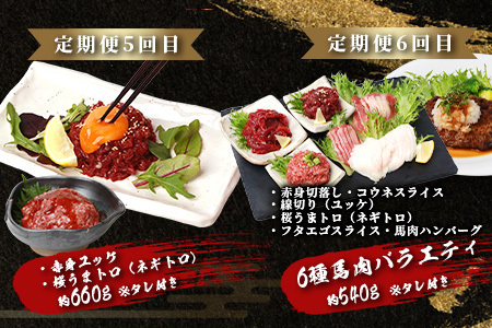 【定期便6回】馬肉づくし 「 馬刺し・お惣菜 定期便 」6回配送 本場 熊本県 馬さし 定期便 千興ファーム SQF 認証 安心安全 馬肉 ユッケ ハンバーグ カレー 新鮮 冷凍 ミシュラン 生食用 肉 菅乃屋 熊本 031-0507