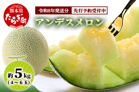 《2026年発送分 先行予約》 アンデスメロン 4玉～6玉 合計約5kg メロン 果物 フルーツ 熊本県 多良木町 108-0501