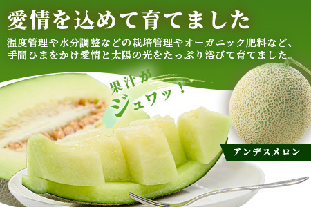 《2026年発送分 先行予約》 アンデスメロン 4玉～6玉 合計約5kg メロン 果物 フルーツ 熊本県 多良木町 108-0501