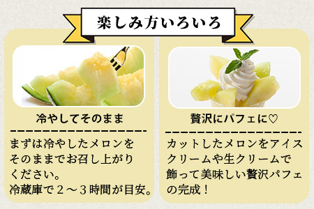 《2026年発送分 先行予約》 アンデスメロン 4玉～6玉 合計約5kg メロン 果物 フルーツ 熊本県 多良木町 108-0501