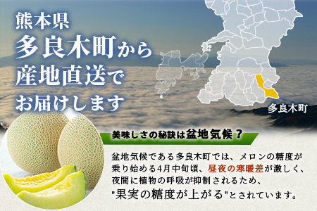 《2026年発送分 先行予約》 アンデスメロン 4玉～6玉 合計約5kg メロン 果物 フルーツ 熊本県 多良木町 108-0501