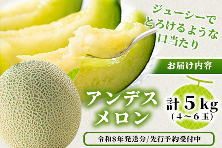 《2026年発送分 先行予約》 アンデスメロン 4玉～6玉 合計約5kg メロン 果物 フルーツ 熊本県 多良木町 108-0501