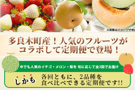 【フルーツ3回定期便】2026年発送 多良木町産 いちご・メロン・梨 【各2品種】 食べ比べ フルーツ 定期便 数量限定 092-0501