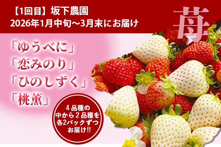 【フルーツ3回定期便】2026年発送 多良木町産 いちご・メロン・梨 【各2品種】 食べ比べ フルーツ 定期便 数量限定 092-0501