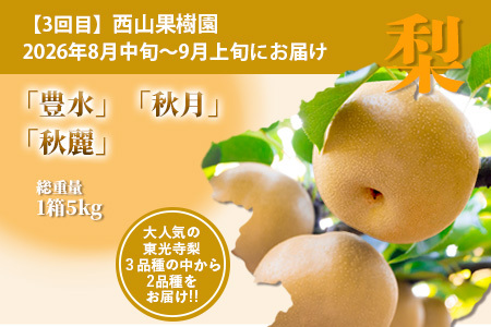 【フルーツ3回定期便】2026年発送 多良木町産 いちご・メロン・梨 【各2品種】 食べ比べ フルーツ 定期便 数量限定 092-0501