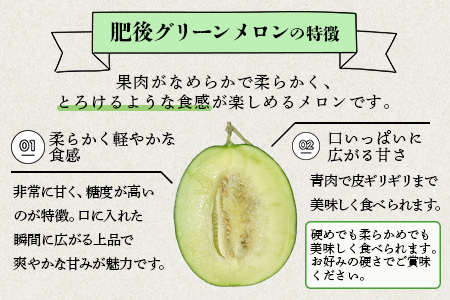 【2026年6月上旬から順次発送】 特大 肥後グリーンメロン 2玉 約5.4kg以上  ～ 果物 フルーツ グリーンメロン 先行予約 5.4kg 青肉 期間限定 数量限定 熊本県 多良木町  101-0002