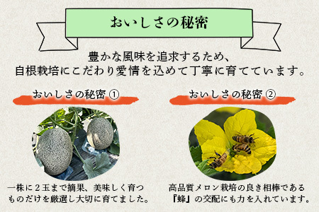 【2026年6月上旬から順次発送】 特大 肥後グリーンメロン 2玉 約5.4kg以上  ～ 果物 フルーツ グリーンメロン 先行予約 5.4kg 青肉 期間限定 数量限定 熊本県 多良木町  101-0002