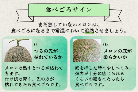 【2026年6月上旬から順次発送】 特大 肥後グリーンメロン 2玉 約5.4kg以上  ～ 果物 フルーツ グリーンメロン 先行予約 5.4kg 青肉 期間限定 数量限定 熊本県 多良木町  101-0002