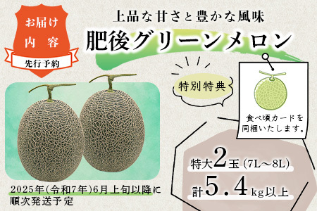 【2026年6月上旬から順次発送】 特大 肥後グリーンメロン 2玉 約5.4kg以上  ～ 果物 フルーツ グリーンメロン 先行予約 5.4kg 青肉 期間限定 数量限定 熊本県 多良木町  101-0002