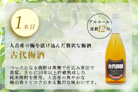 たらぎの 梅酒 セット 720ml × 2本 ≪古代 梅酒≫≪ 梅酒 文蔵≫ 球磨焼酎 多良木町 米 焼酎 梅 うめ酒 お酒 球磨 贈り物 ギフト 熊本県 多良木町 015-0689