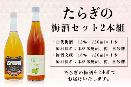たらぎの 梅酒 セット 720ml × 2本 ≪古代 梅酒≫≪ 梅酒 文蔵≫ 球磨焼酎 多良木町 米 焼酎 梅 うめ酒 お酒 球磨 贈り物 ギフト 熊本県 多良木町 015-0689
