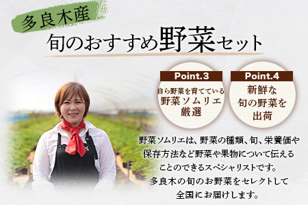 【定期便 3回】野菜ソムリエ 監修 旬の おすすめ 野菜 セット 4〜6品 (1〜2名様向け) 3回配送 数量限定 新鮮 野菜 セット 詰め合わせ 詰合せ 定期便 産地 直送 国産 季節の野菜 ひとり 暮らし 一人 夫婦 ふたり 024-0802