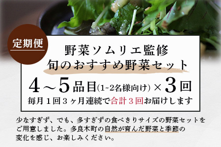 【定期便 3回】野菜ソムリエ 監修 旬の おすすめ 野菜 セット 4〜6品 (1〜2名様向け) 3回配送 数量限定 新鮮 野菜 セット 詰め合わせ 詰合せ 定期便 産地 直送 国産 季節の野菜 ひとり 暮らし 一人 夫婦 ふたり 024-0802