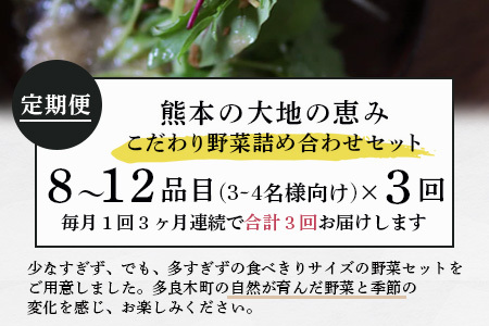 【定期便3回】熊本の大地の恵み 旬の こだわり野菜詰め合わせセット 8～12品 （3～4名様向け）3回配送 獲れたて 新鮮 野菜 セット 詰め合わせ 詰合せ 定期便 産地 直送 国産 季節 旬野菜 家族 ファミリー 多良木町 024-0810