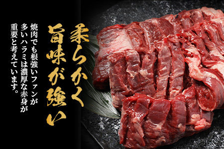 ※12月寄附限定 タン先炭火焼付※厚切り 牛 ハラミ ステーキ 1kg (500ｇ×2) 焼肉 焼き肉 軟化加工 はらみ 塩味 ハラミ 067-0671