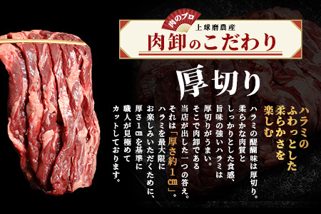 ※12月寄附限定 タン先炭火焼付※厚切り 牛 ハラミ ステーキ 1kg (500ｇ×2) 焼肉 焼き肉 軟化加工 はらみ 塩味 ハラミ 067-0671