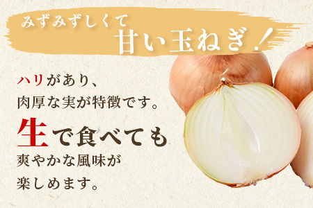 【先行予約】熊本県産 玉ねぎ 3kg (10玉前後) ≪2025年4月下旬から順次発送≫ 玉葱 野菜 数量限定 JAS たまねぎ オニオン 甘い ハンバーグ 肉じゃが 065-0635