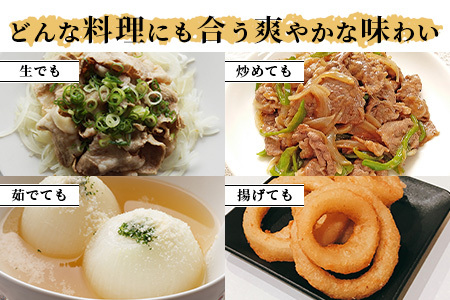 【先行予約】熊本県産 玉ねぎ 3kg (10玉前後) ≪2025年4月下旬から順次発送≫ 玉葱 野菜 数量限定 JAS たまねぎ オニオン 甘い ハンバーグ 肉じゃが 065-0635