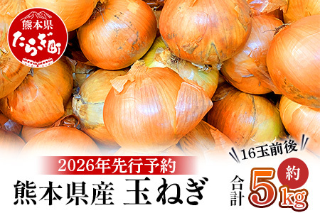 【先行予約】熊本県産 玉ねぎ 5kg (16玉前後) ※2026年4月下旬から順次発送※ 玉葱 野菜 数量限定 JAS たまねぎ オニオン 甘い ハンバーグ 肉じゃが 065-0636